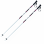 Langlauf Ski