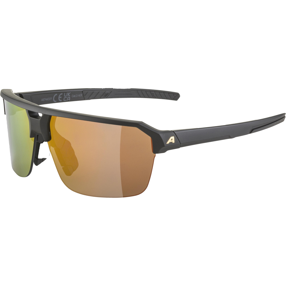 Alpina Sport Sonnenbrille SWIFT HR -