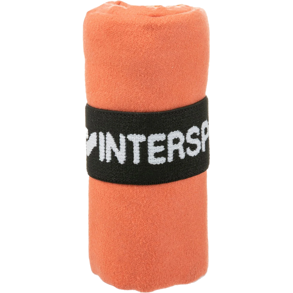 Intersport Handtuch Microfiber 4