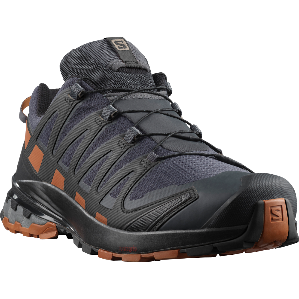SALOMON Herren Trailrunningschuhe XA PRO 3D V8 GTX"  