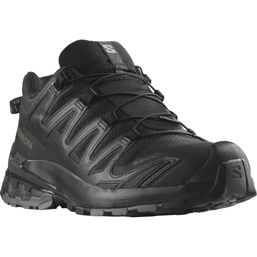 Salomon XA PRO 3D v8 Damen Trekkingschuh 