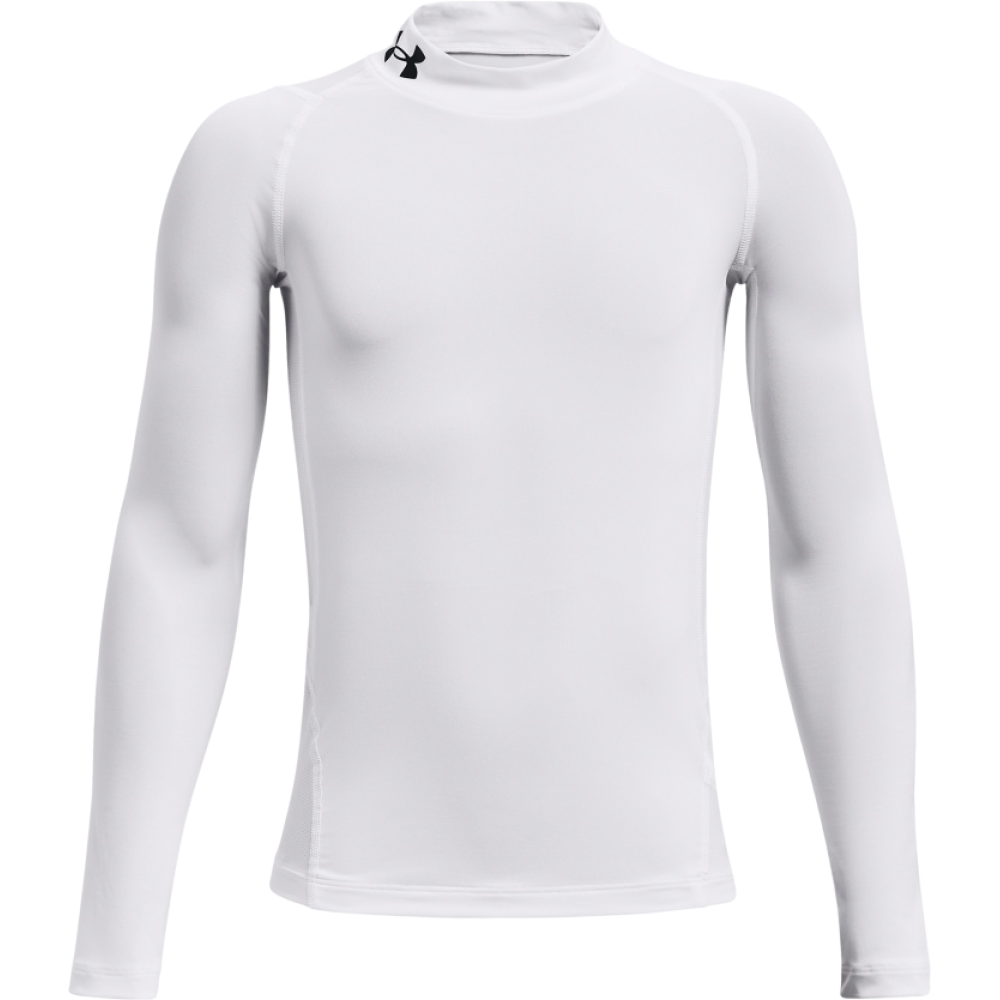 Under Armour Funktionsshirt Herren Heatgear Mock S