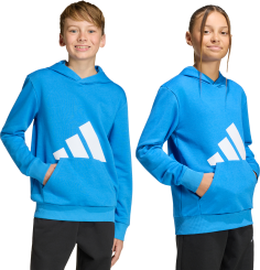 adidas Essentials Hoodie Kinder 