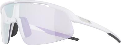 Alpina Sportbrille TURBO PRO S V 