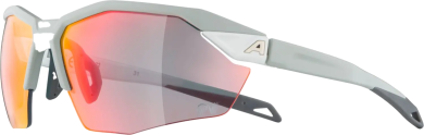 ALPINA Herren Sportbrille Twist Six S HR QV 