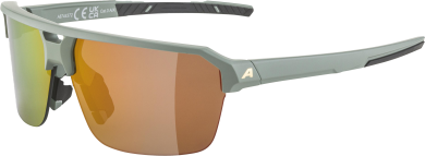 Alpina Sport Sonnenbrille SWIFT HR 