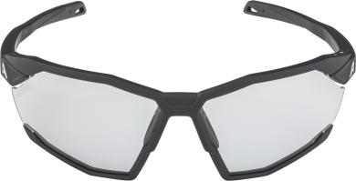 Alpina TWIST SIX V Sportbrille 
