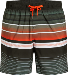 Firefly Lario Badeshorts 