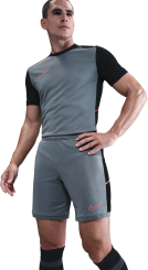 Nike Herren Shorts Dri-Fit Academy 23 