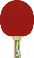 Pro Touch Tischtennis-Schläger Pro 3000 