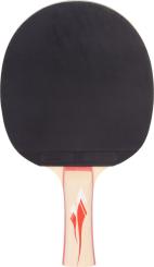 Pro Touch Tischtennisschläger Pro 5000 