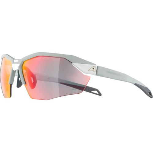ALPINA Herren Sportbrille Twist Six S HR QV 