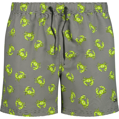 CMP Herren Badeshorts 