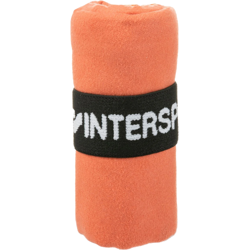 Intersport Handtuch Microfiber 