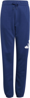 adidas Kinder-Sporthose 