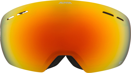 Alpina Granby MM Skibrille -