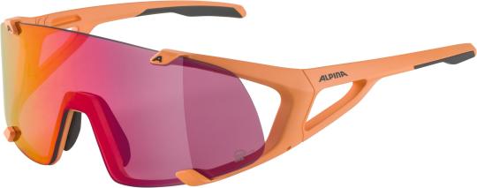 Alpina Hawkeye S Q-Lite Sonnenbrille -