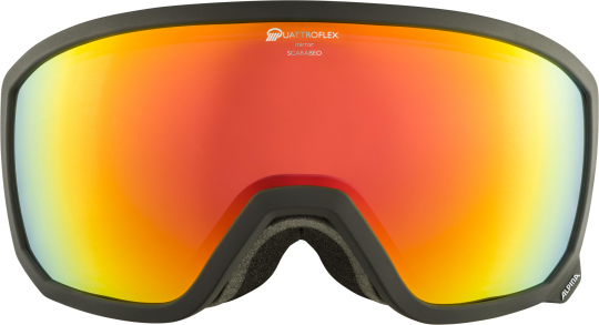 Alpina Skibrille Scarabeo QHM -