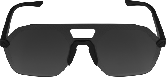 Alpina Sonnenbrille BEAM  -