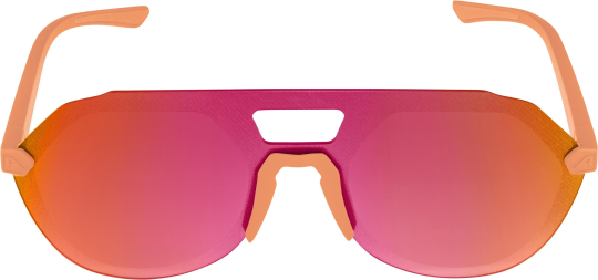 Alpina Sonnenbrille BEAM  -
