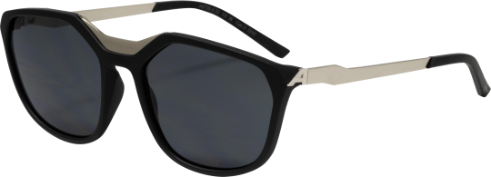 Alpina Sonnenbrille FLEEK -