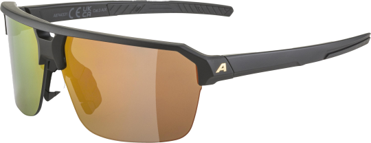 Alpina Sport Sonnenbrille SWIFT HR -
