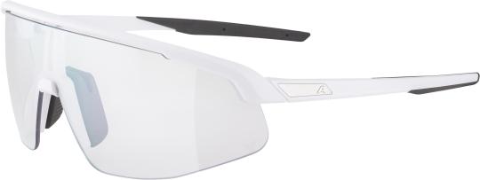 Alpina Sportbrille TURBO PRO V -