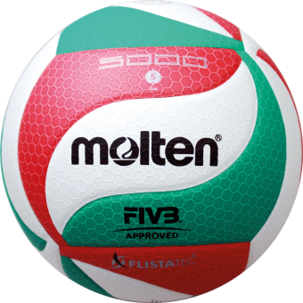 Molten Volleyball Flistatec 5