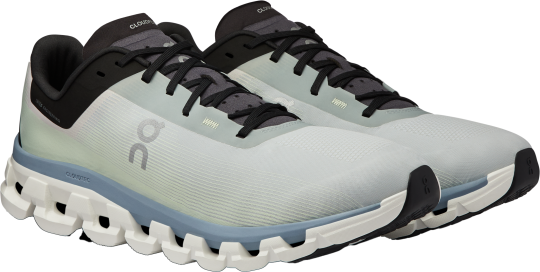 ON Cloudflow 4 Laufschuh Herren 