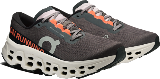 ON Cloudmonster 3 9,5