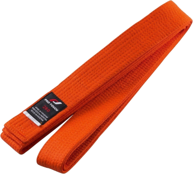 Pro Touch Budogürtel (Judogürtel) 260