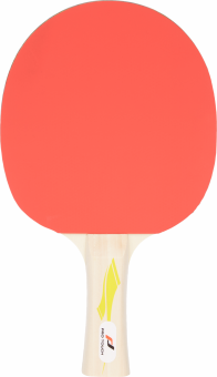 Pro Touch Tischtennis-Schläger Pro 2000 -