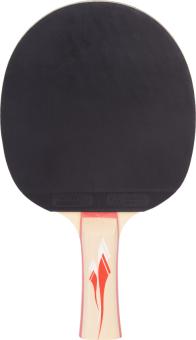 Pro Touch Tischtennisschläger Pro 5000 -