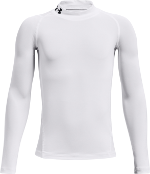 Under Armour Funktionsshirt Herren Heatgear Mock S