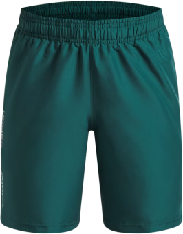 Under Armour Herren Shorts UA Woven WDMK 