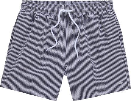 Venice Beach Bade-Shorts 