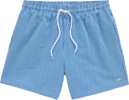 Venice Beach Bade-Shorts 