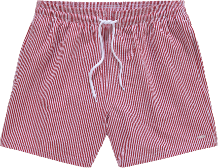 Venice Beach Bade-Shorts 