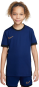 morepic-1
