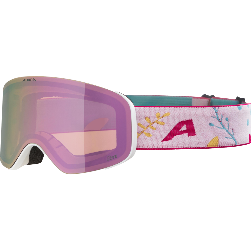 Alpina Skibrille -