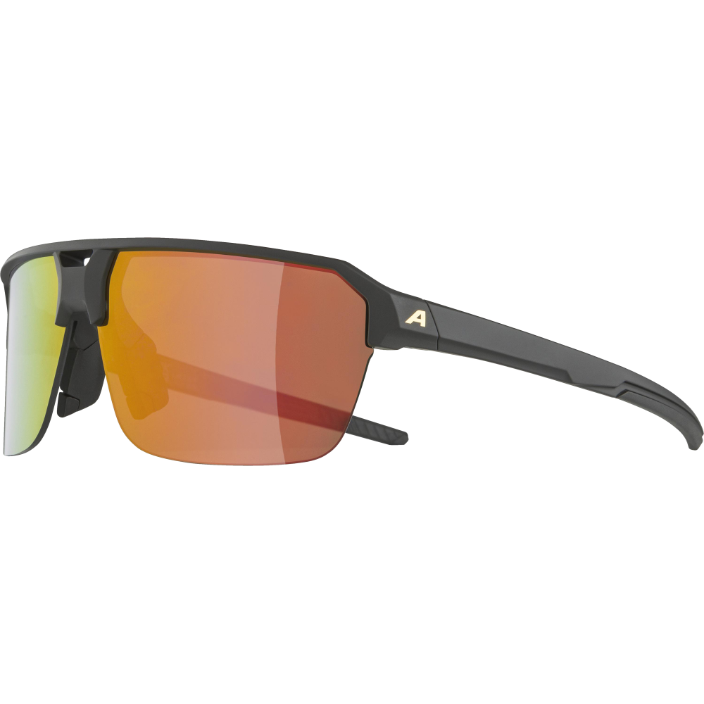 Alpina Sport Sonnenbrille SWIFT HR -