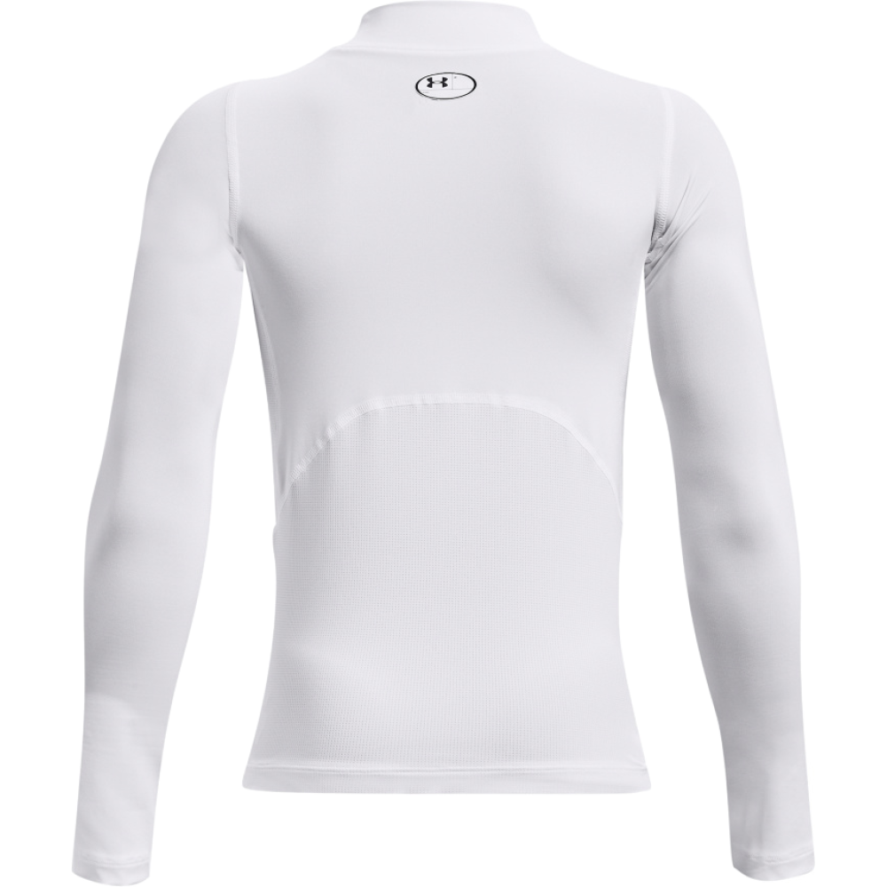 Under Armour Funktionsshirt Herren Heatgear Mock S