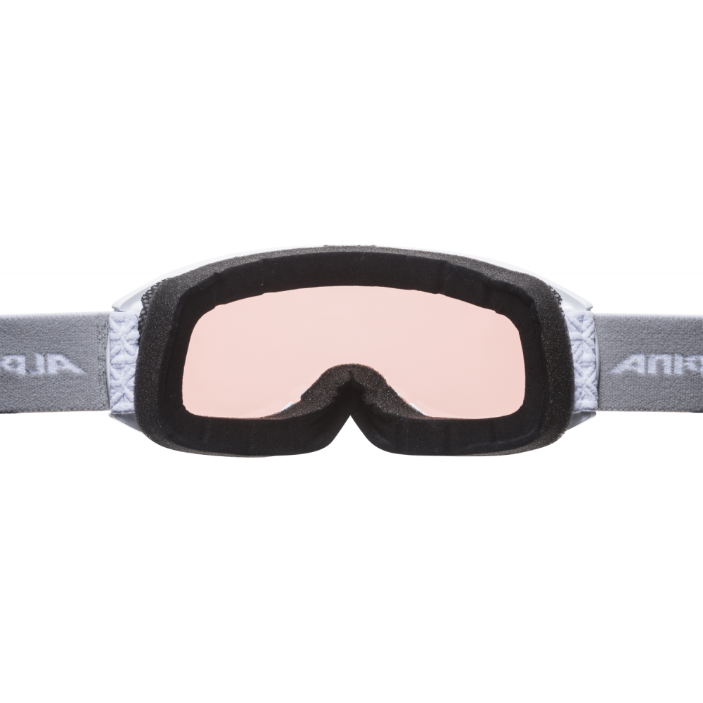 Alpina Skibrille Nakiska/ Nakiska DH 