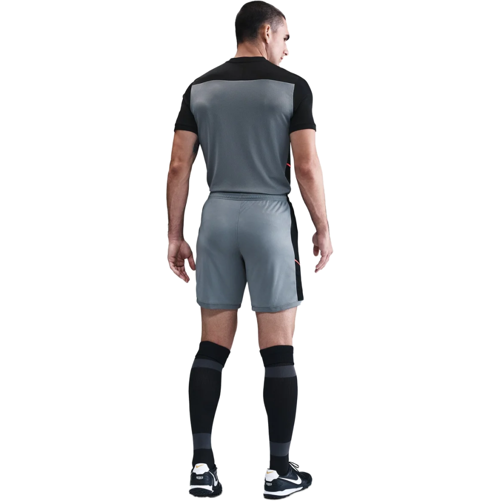 Nike Herren Shorts Dri-Fit Academy 23 