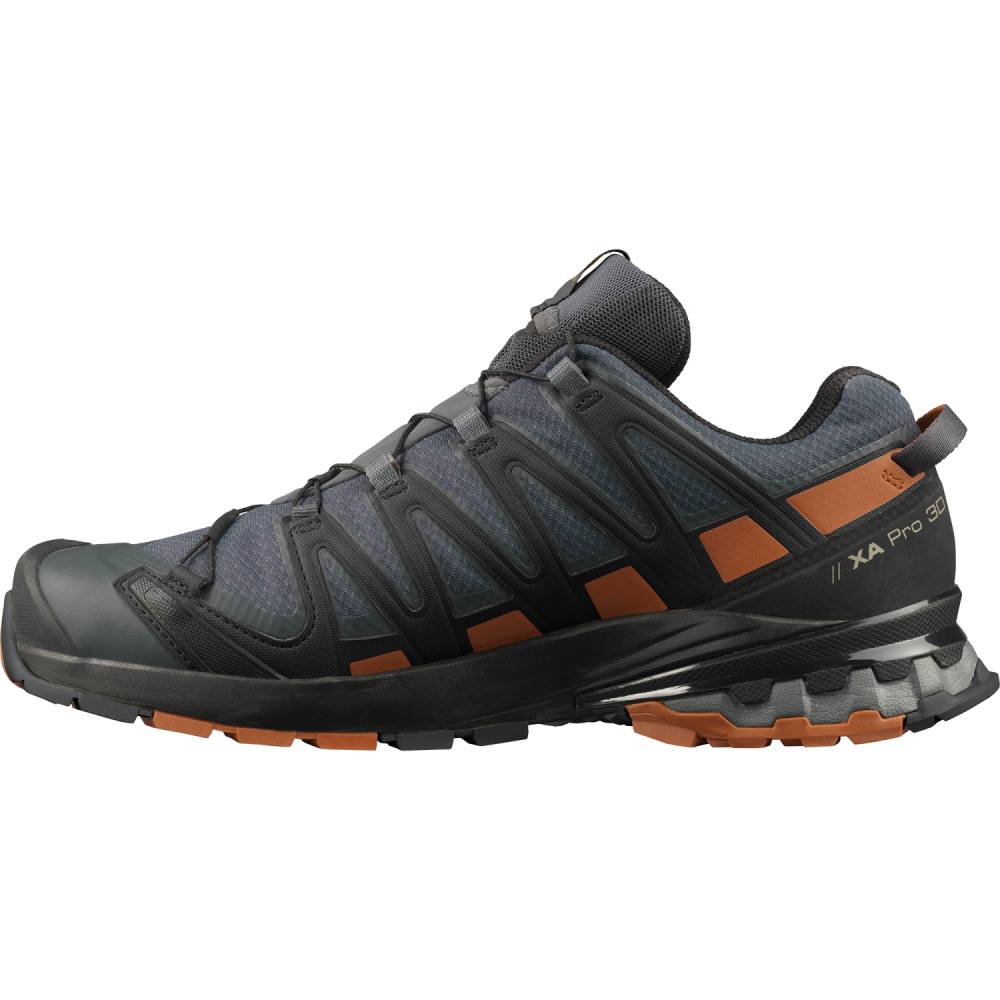 SALOMON Herren Trailrunningschuhe XA PRO 3D V8 GTX"  