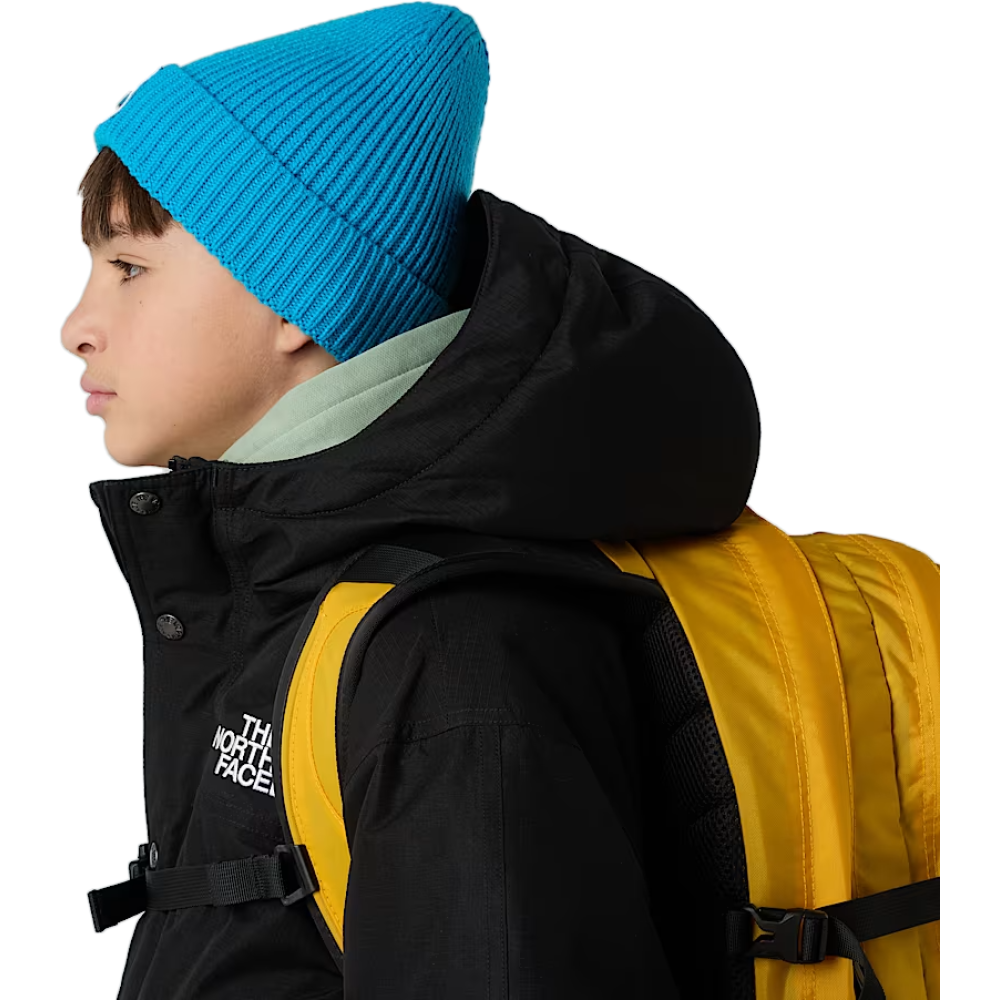 The North Face Kinder Logo Box Cuffed Beanie -