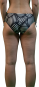 morepic-3