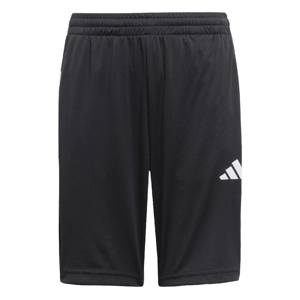 adidas Kinder Shorts TR-ES 3S 