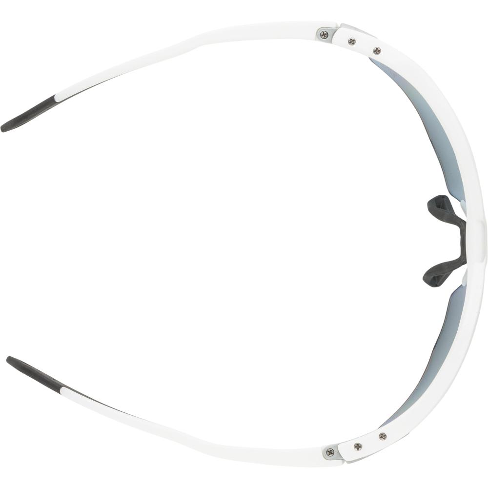 ALPINA Herren Sportbrille Twist Six S HR QV -