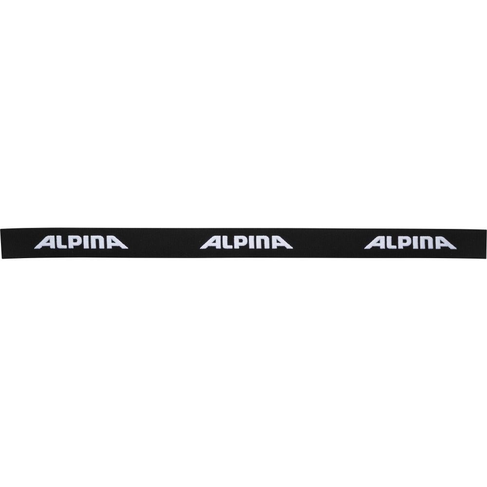 Alpina Skibrille PHEOS S Q -